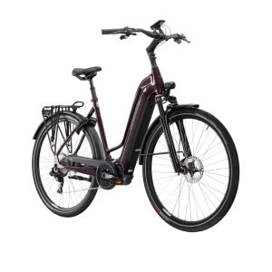 Trans Hybrid Prestige 504 WH Damski