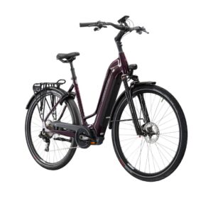 Trans Hybrid Prestige 504 WH Damski